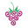 Dressberry